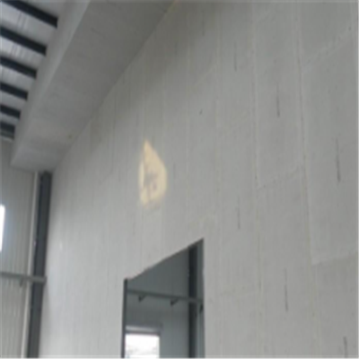 绥滨宁波ALC板|EPS加气板隔墙与混凝土整浇联接的实验研讨